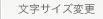 文字サイズ